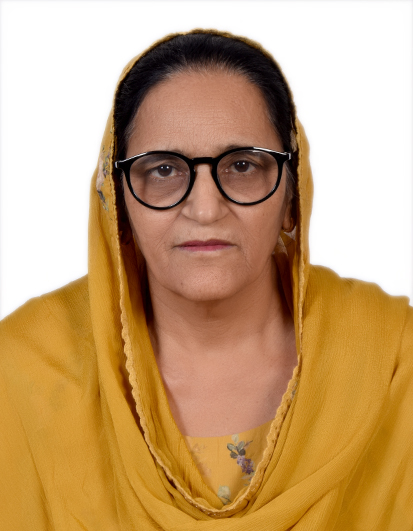 Sarpanch